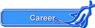 Career