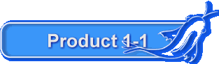 Product 1-1